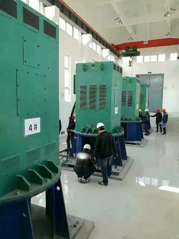 锦州某污水处理厂使用我厂的立式高压电机安装现场